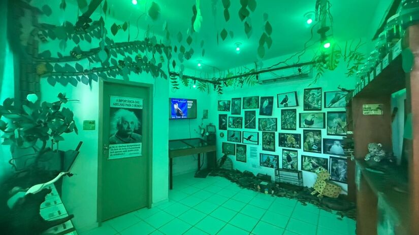 Reprodução / Marcelo Guedes / Acervo Parque Amazônia Paulista