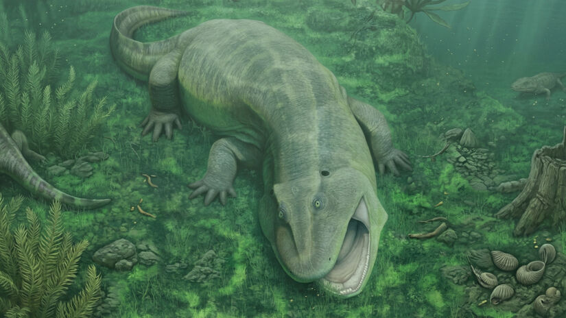 O nome batizado para a espécie traduz sua origem e modo de vida: significa "mandíbula que mora no rio" / Divulgação/Imagem adaptada por IA