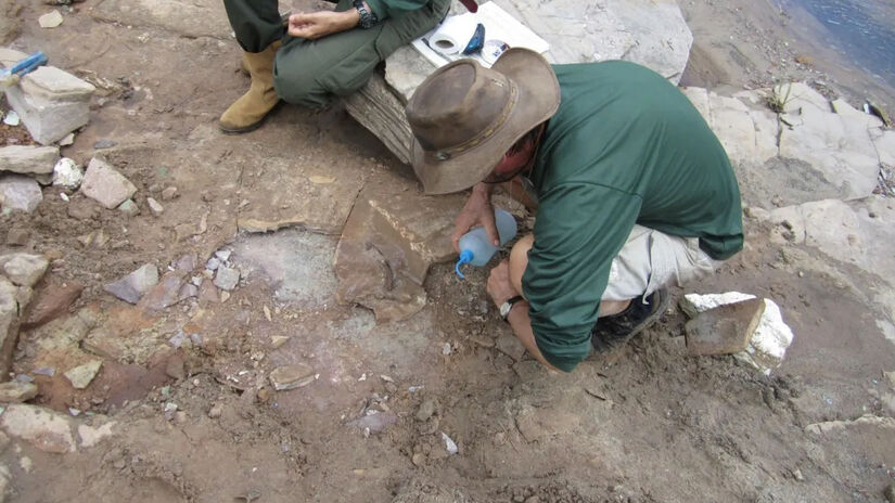 O achado é considerado um marco para a paleontologia mundial / Divulgação/UFPI