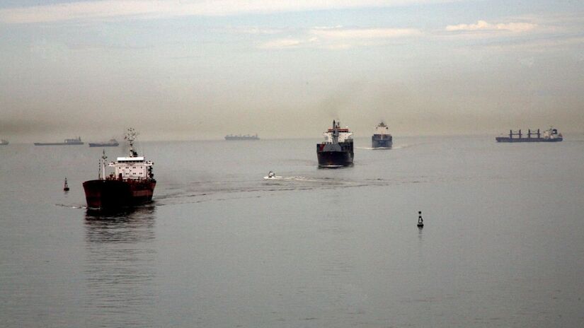 Entre crises e expansões, o Porto de Santos se reinventou e manteve sua relevância global / Foto: Divulgação
