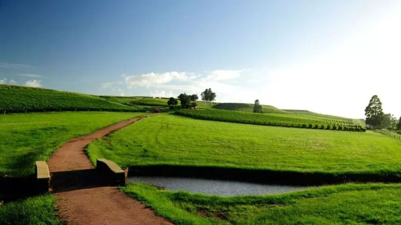 Espaço inclui criação de cavalos da raça crioula e funciona como refúgio pessoal do narrador /Reprodução