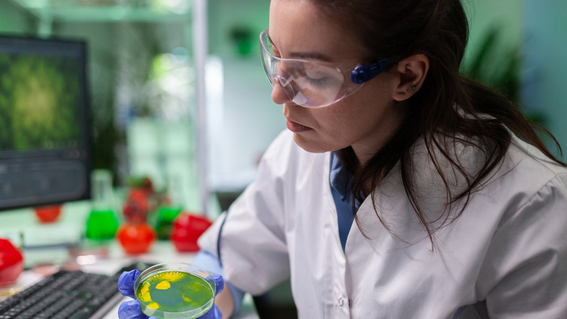 Nesse modelo experimental, um estímulo inicialmente neutro passa a ser associado a uma experiência desagradável, levando os animais a modificar seu comportamento