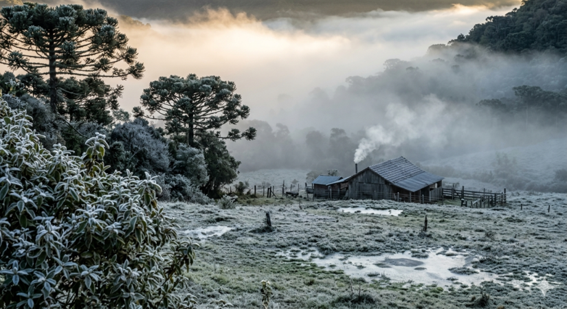 Amanhecer gelado no RS: Geada cobre arauc&aacute;rias e campo em Aparados - Imagem gerada por IA
