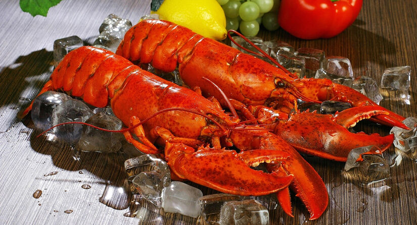 Segundo especialistas, ferver crustáceos ainda vivos "não é um método aceitável" de abate. Pixabay