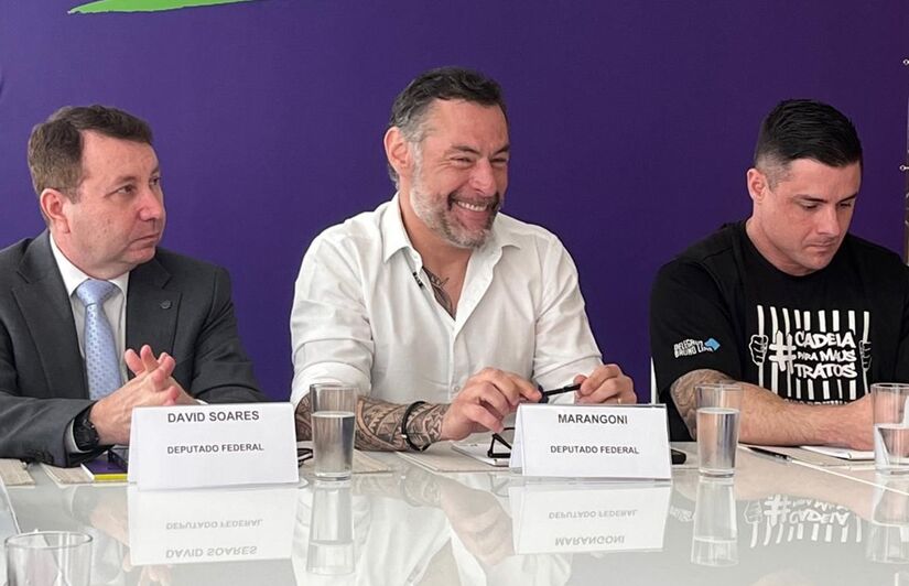 Partido aposta em nova bancada forte na Câmara dos Deputados (Divulgação)