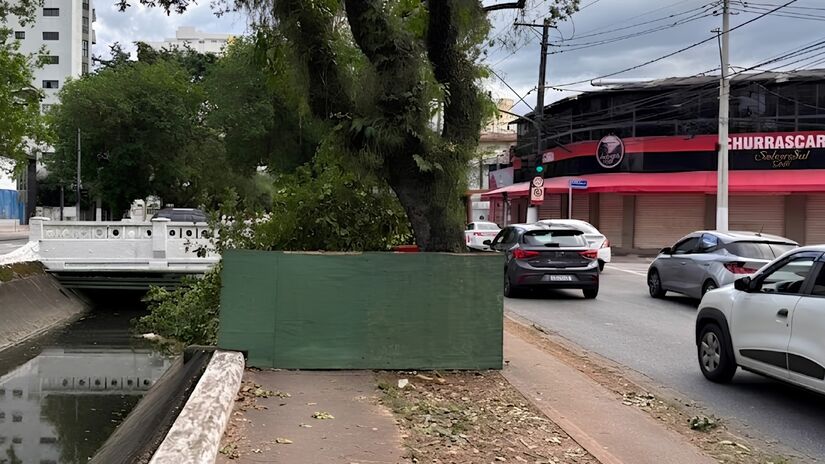  (Isabella Fernandes/DL)