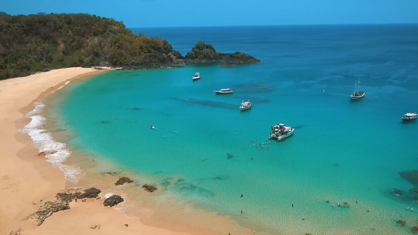 Não se assuste! É comum nadar ao lado de tartarugas e pequenos tubarões logo nos primeiros passos dentro d'água / Foto: Reprodução/YouTube Viagens Cine