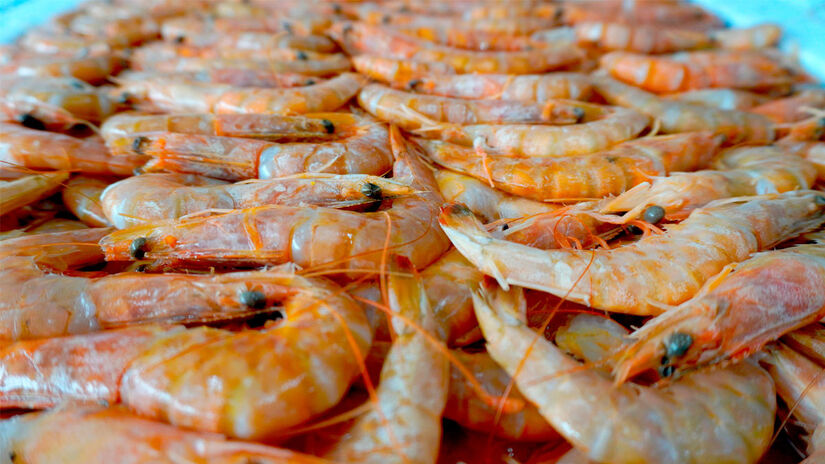 Apenas produtos provenientes desses estoques regularizados podem ser comercializados durante o período. RenanLousada/DL