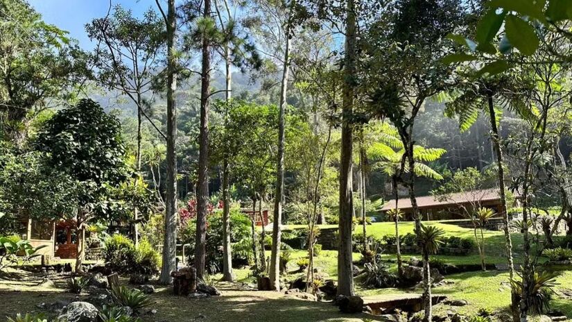Propriedade tem horta orgânica e criação de galinhas mantidas pelo ator /Reprodução