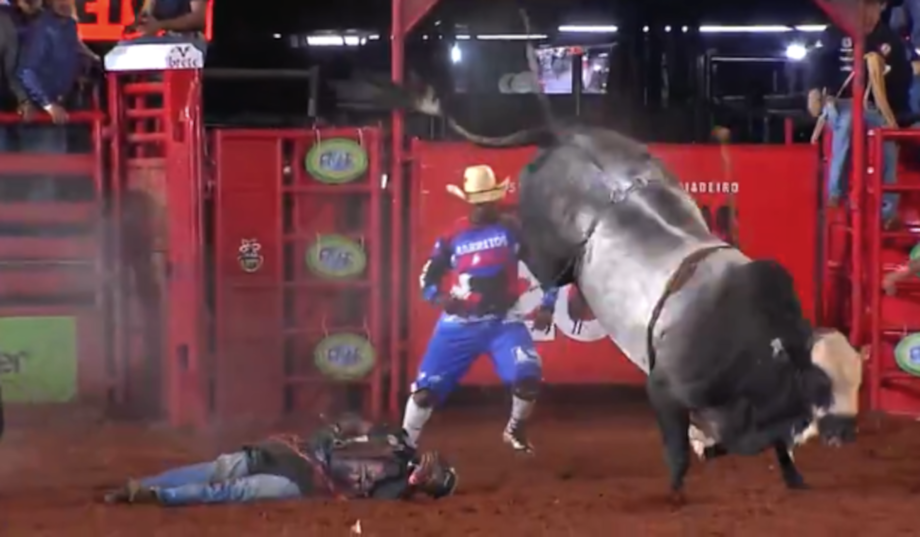 Peão bate a cabeça em touro e desmaia em Barretos; veja vídeo