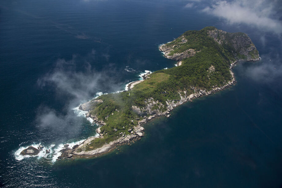 Ilha das Cobras: o que você não sabia sobre a ilha tomada por serpentes no  litoral brasileiro