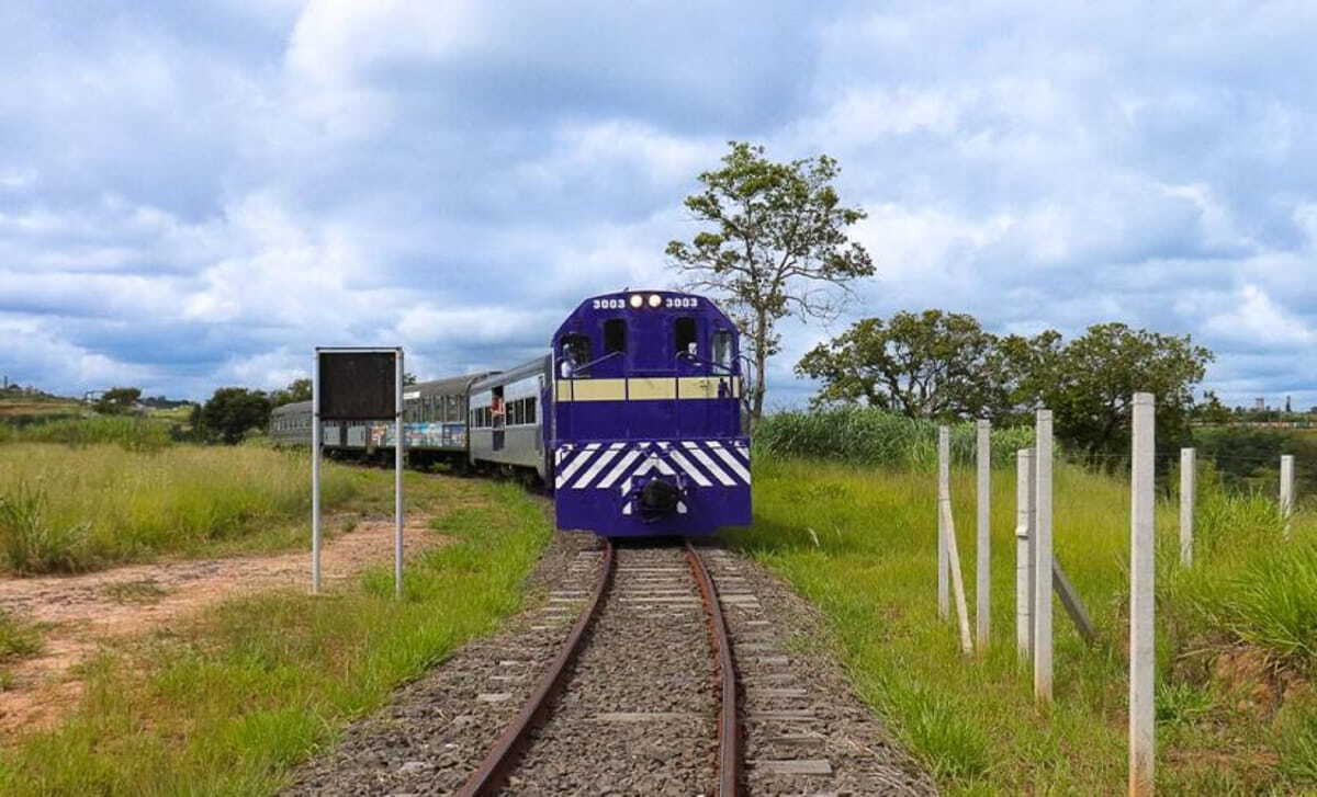Passeio de trem em SP leva ao Parque dos Dinossauros