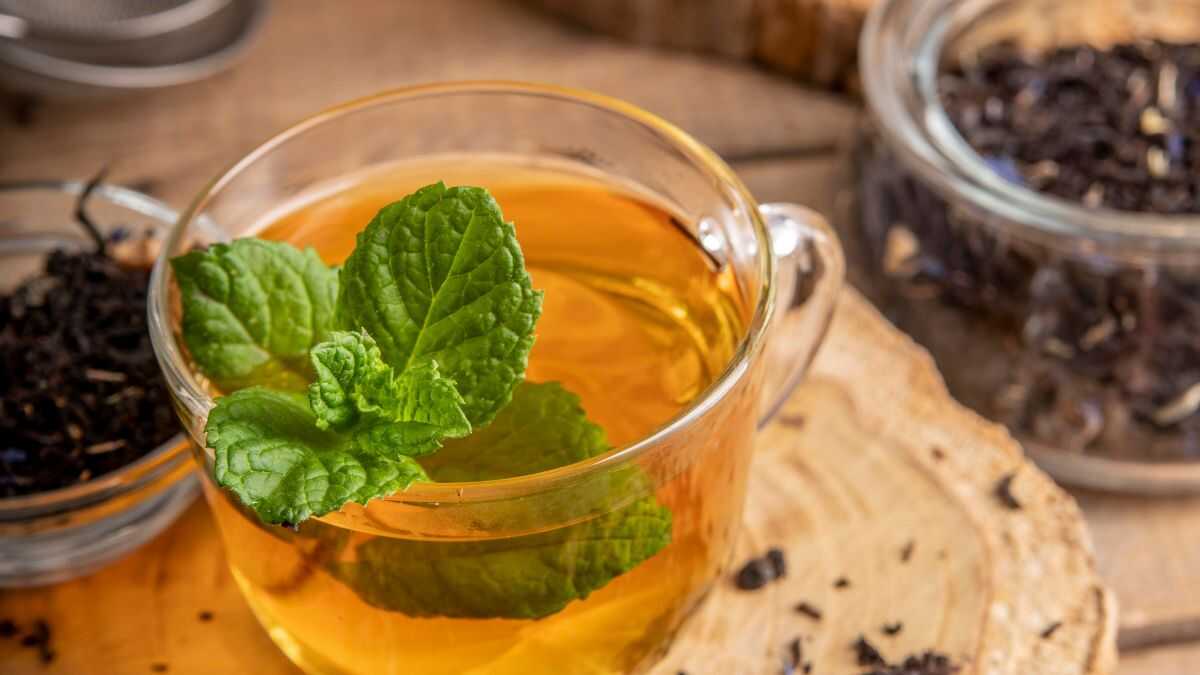 Descubra o ritual que vai além do sabor: o poder do chá no inverno ...