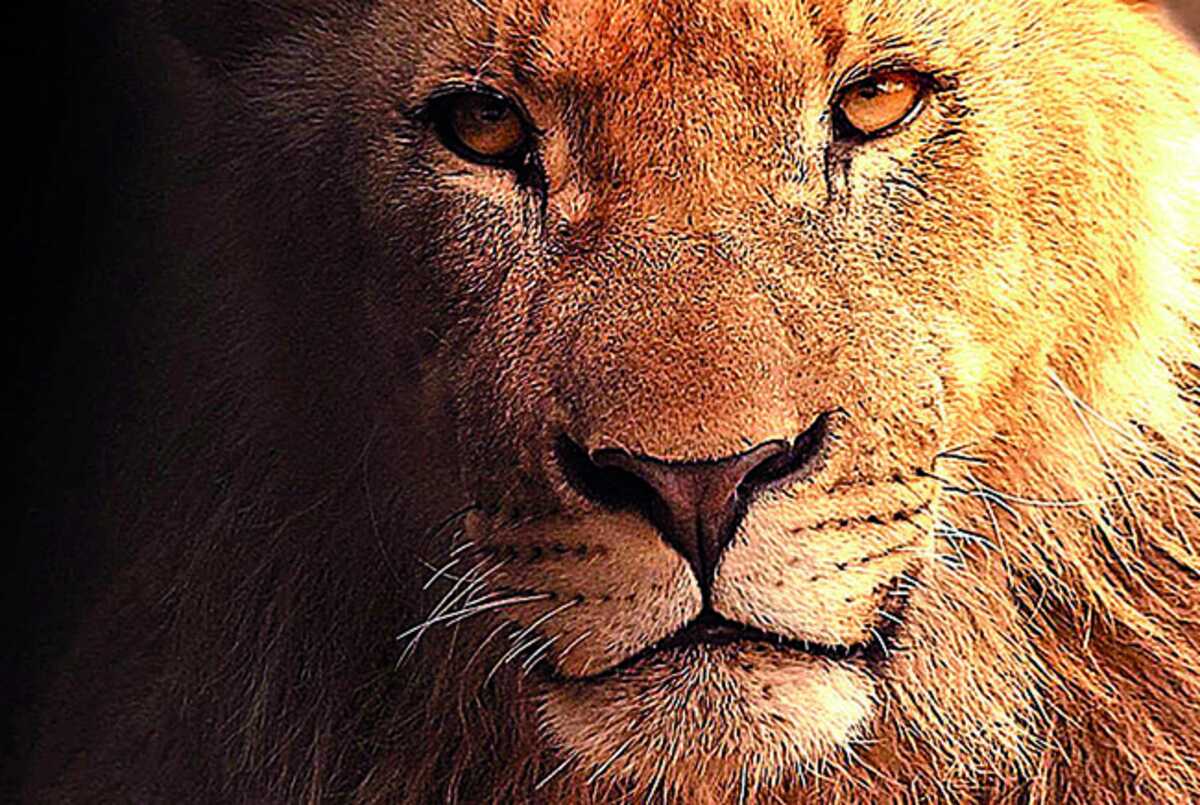 Entenda como funciona a Watchguard, a plataforma de segurança de rede ...