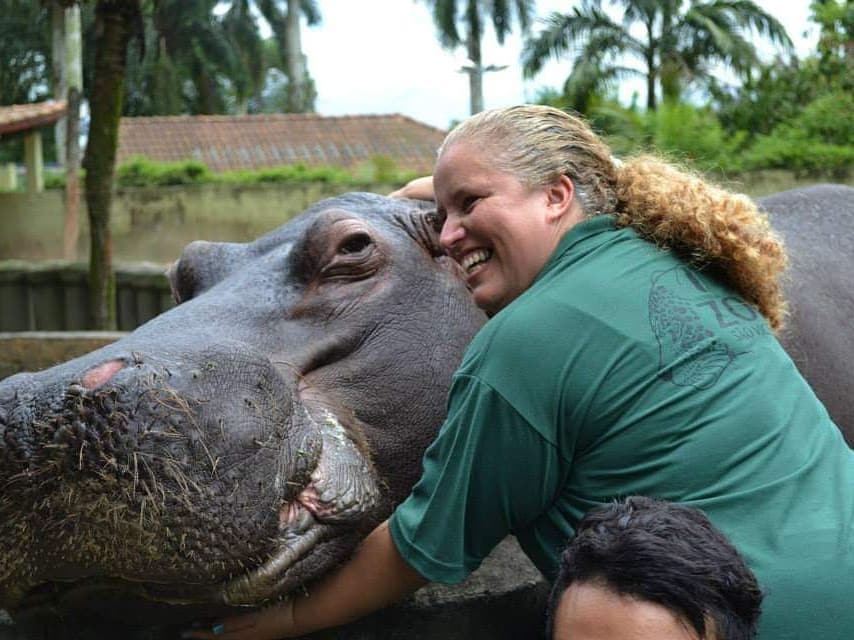  Chamado de filho pela bióloga Carla Cerqueira, o hipopótamo Ramón é hoje a sensação do Parque Ecológico Voturuá