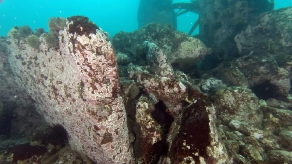 A megaestrutura submersa