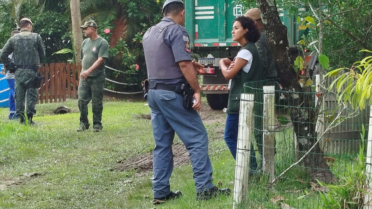 Moradores afirmam que ação ocorreu mesmo após decisão judicial que suspendia derrubadas na região