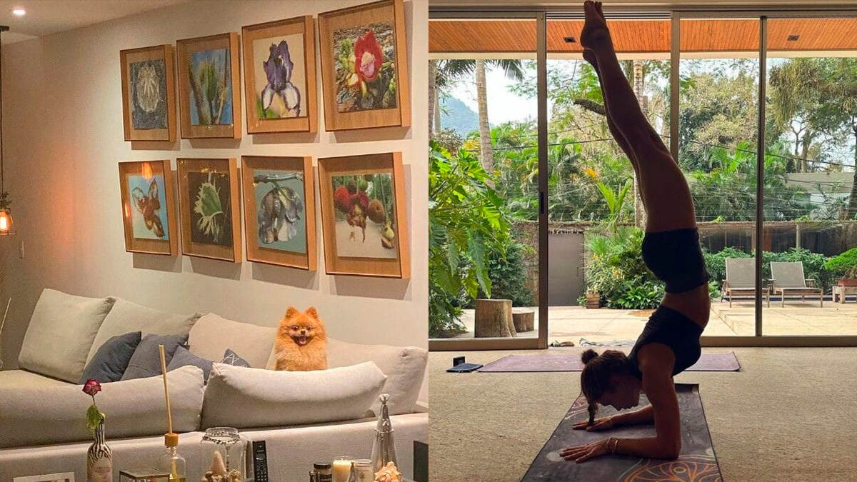 Um dos principais destaques da mansão é a sala principal totalmente envidraçada. 