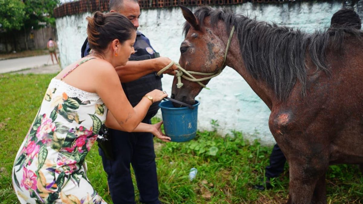 O caso marca o endurecimento da fiscalização municipal contra tutores por negligência