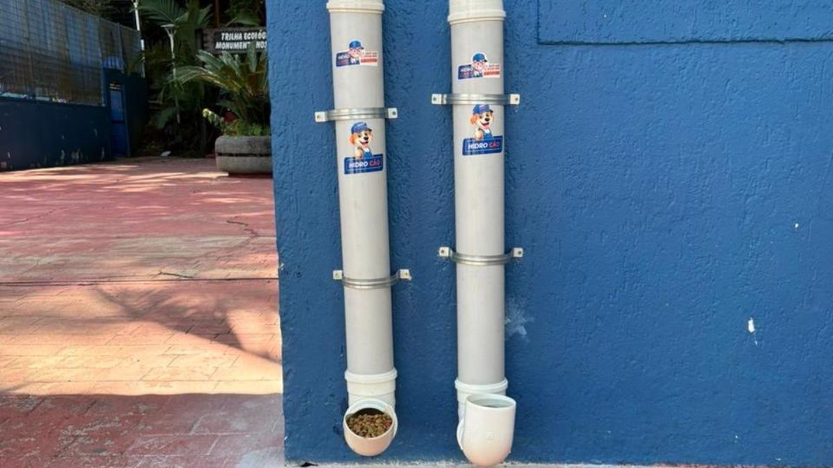 A proposta visa ambientes agradáveis para moradores, turistas e também para os animais