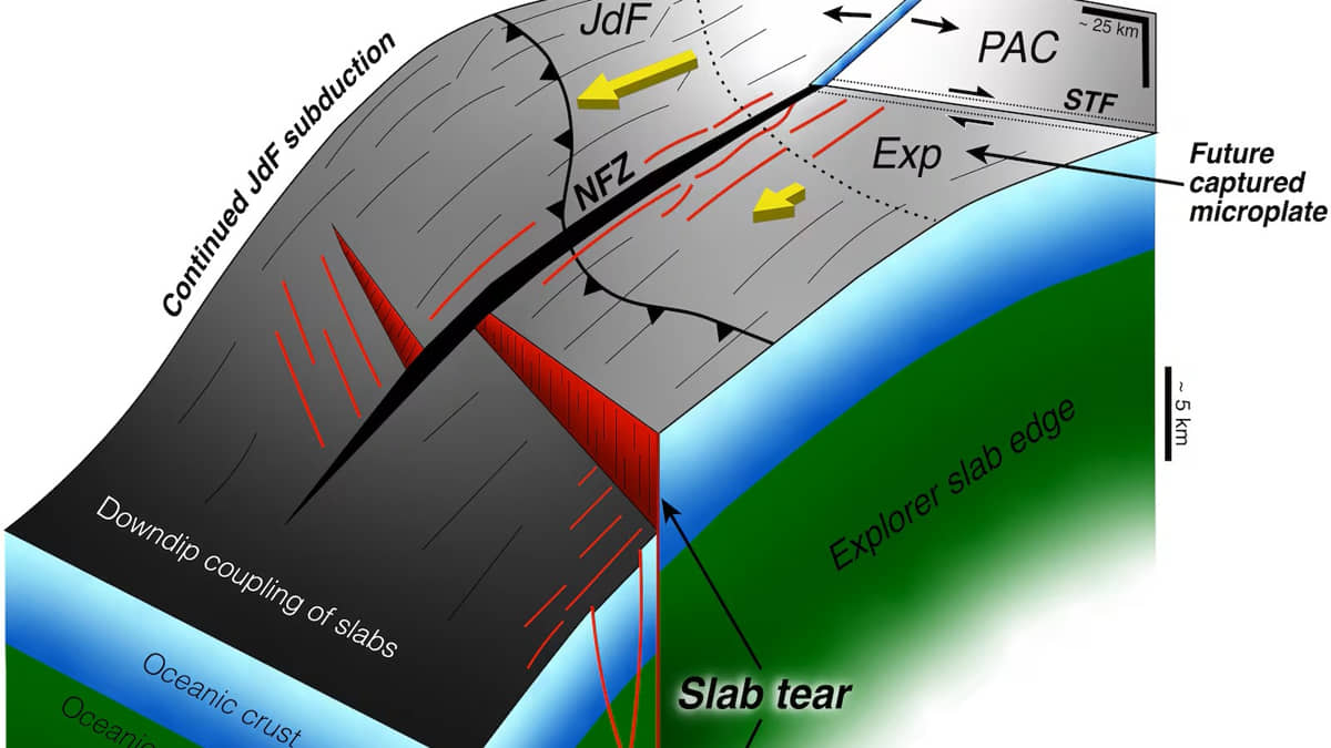 Fenômeno das placas tectônicas se rasgando intriga e preocupa geólogos