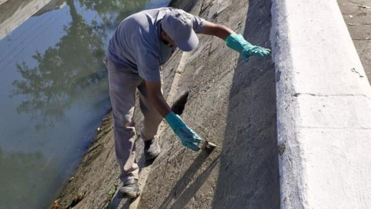 O município ocupa a quarta posição entre as 100 cidades mais populosas