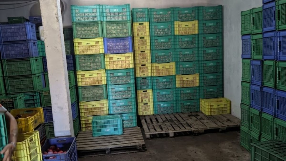 A ameixa é um produto perecível que exige rápida comercialização