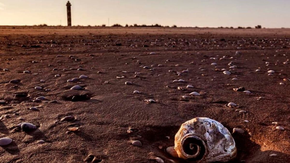 Decreto de 2026 oficializa reserva de 1 milhão de hectares na fronteira com o Uruguai