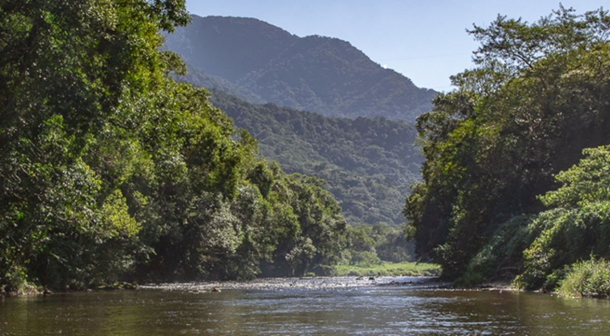 Para chegar a Casa de Pedra é preciso atravessar o rio Itapanhaú e uma trilha de nível moderado