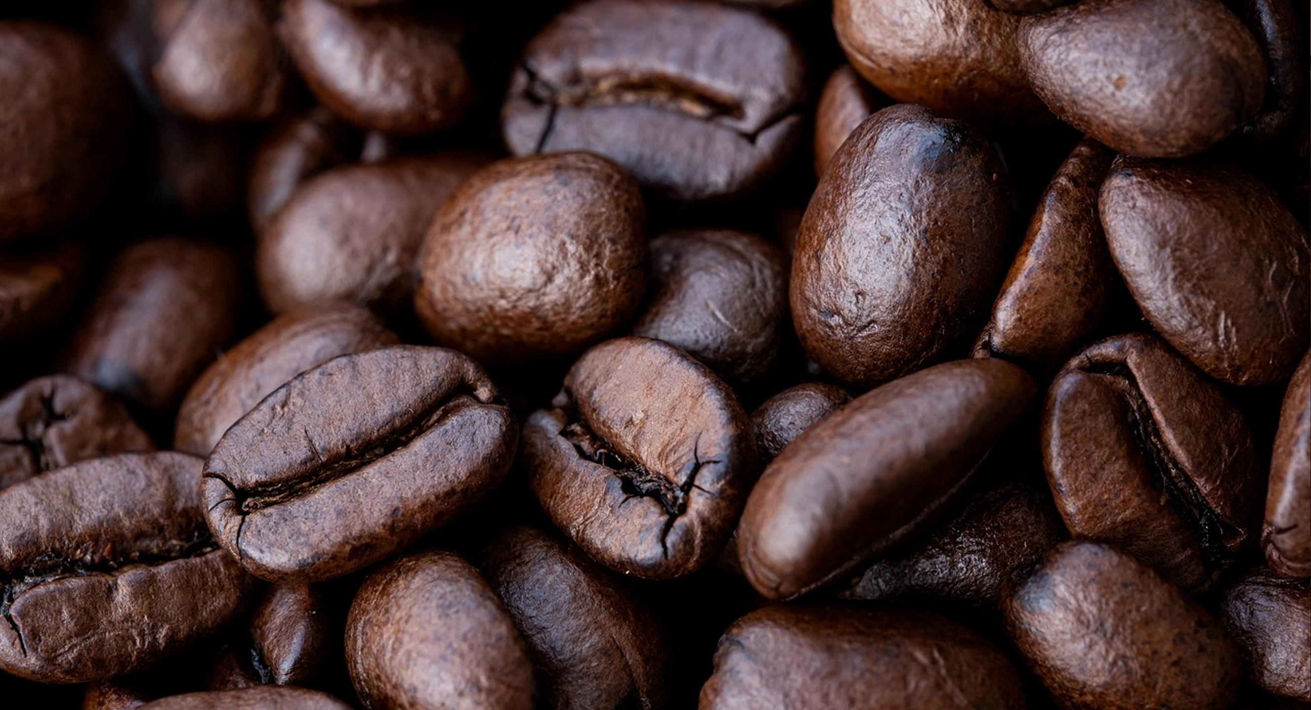 Santos carrega em suas ruas, casarões e no Porto de Santos uma história que atravessa continentes. 