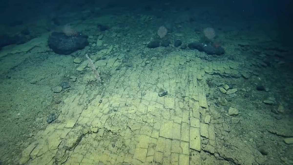 Momento em que os pesquisadores da equipe Nautilus encontraram a estrada de tijolos amarelos