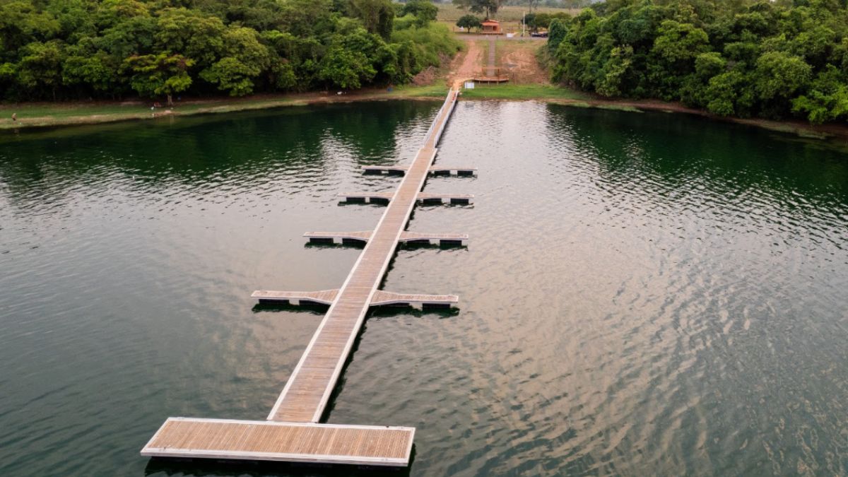 Imagem Padrão   DL (45)