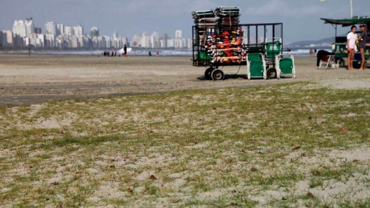 Imagem Padrão   DL (49)