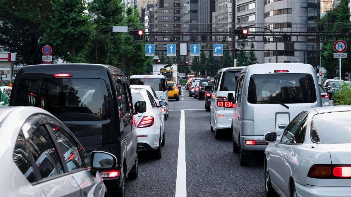 Imagem Padrão   DL (51)