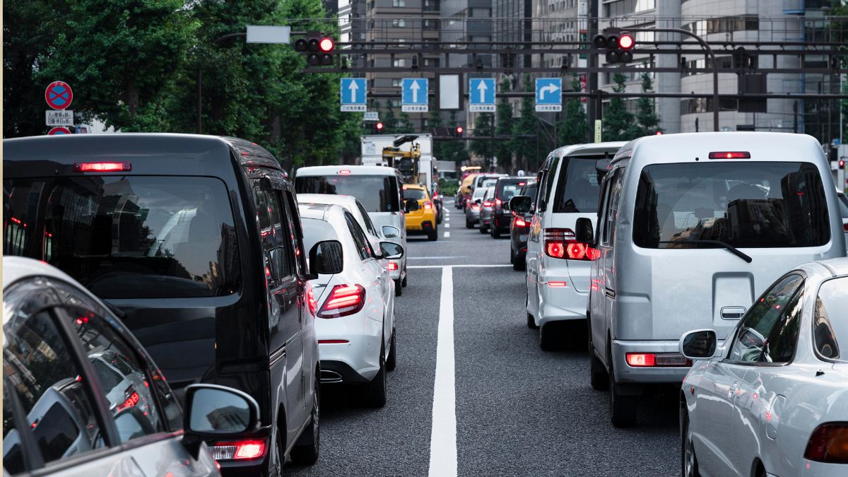 Imagem Padrão   DL (87)