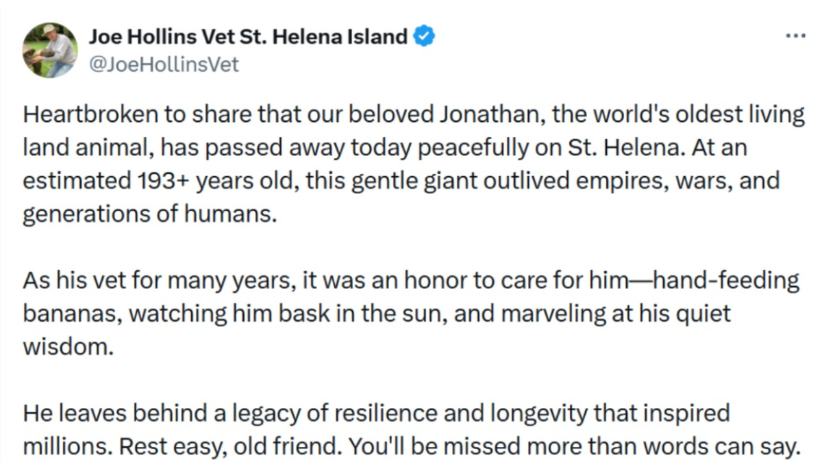 Postagem do veterinário de Jhonatan, anunciando seu falecimento no Dia da Mentira