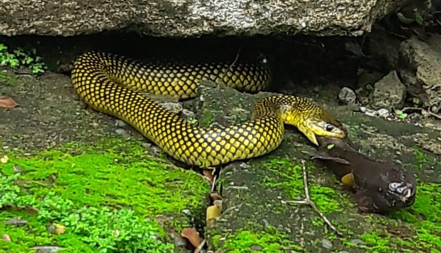 WhatsApp Image 2026 04 09 at 19.50.42