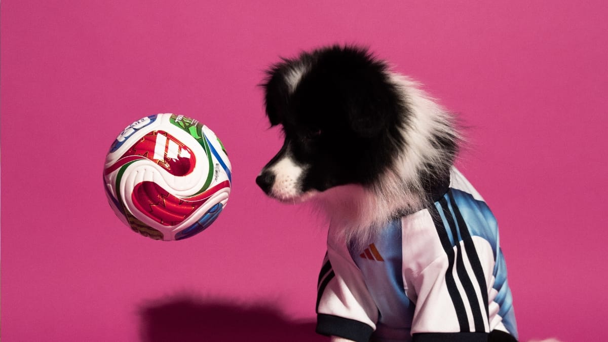 Cãozinho com camisa da Argentina ao lado da bola da Copa de 2026