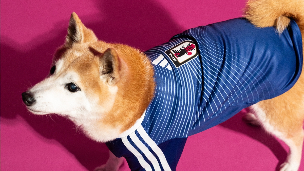 Cãozinho vestido com camisa da Seleção Japonesa