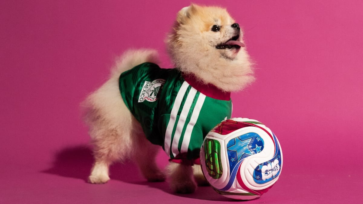 Cão ao lado da bola da Copa usando camisa do México
