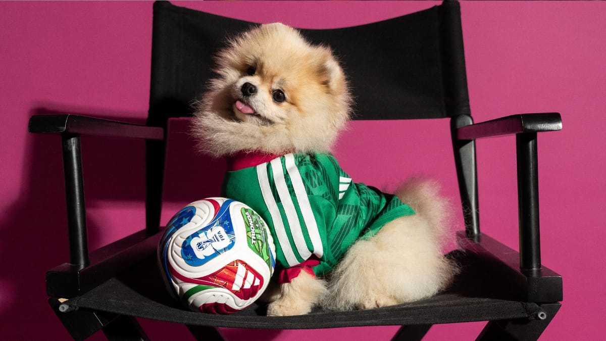 Cãozinho usando camisa do México ao lado da bola da Copa 2026