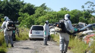 Agentes ao combate da dengue realizam ação para dizimar o mosquito