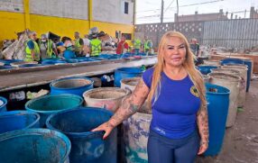 Imagem da Rainha da Reciclagem