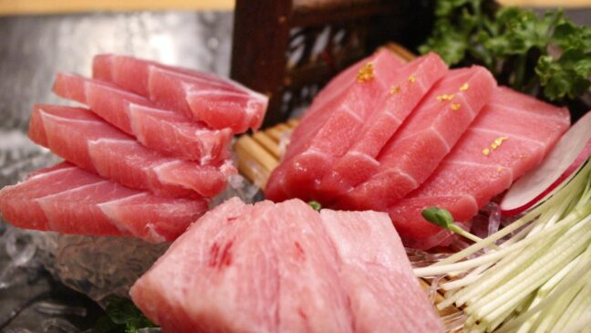 Peixe popular no sushi pode conter mercúrio e acende alerta