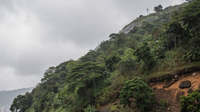 Monte Serrat carrega a memória de uma tragédia santista