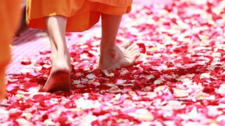 A imagem mostra um monge caminhado sobre petálas de rosas no chão