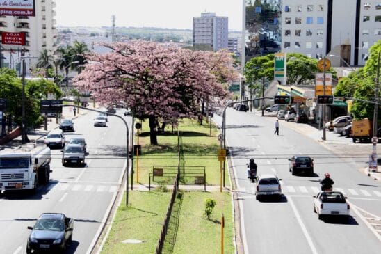 Cidade de Bauru tem cultura asiática e patrimônio ferroviário