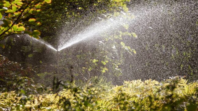 A imagem mostra um sistema de irrigação funcionando em um plantação