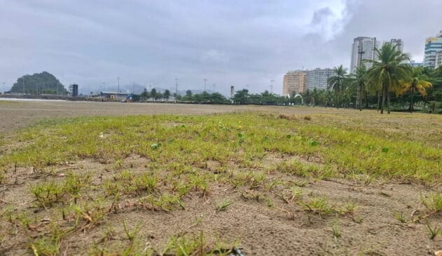 O projeto faz parte de uma evolução contínua da relação da cidade com o meio ambiente, reaproveitando uma extensão urbana do espaço costeiro para fins de regeneração e educação ambiental