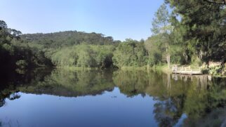 A imagem mostra a Lagoa das Carpas e toda a sua tranquilidade